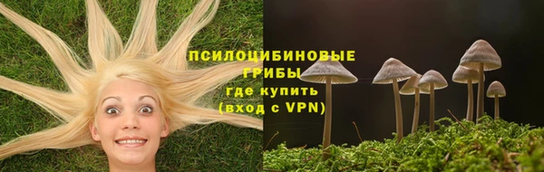 стафф Верея